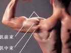 男人锻炼三角肌怎么样效果最好 哑铃锻炼缆绳动作让你拥有完美身材